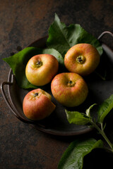 Still life of apples on a tray