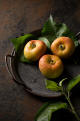 Still life of apples on a metal background