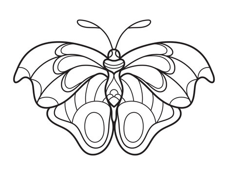 butterfly outline drawing for kids