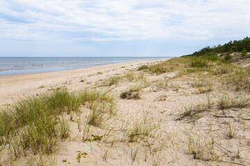 Fototapeta na wymiar A beautiful landscape with beach and sand dunes near the Baltic sea