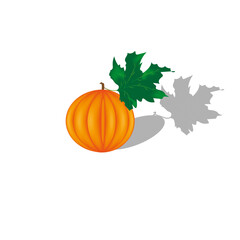 Pumpkin with beautiful green leaf on white background with shadow and copy space. Vegetable 3d background with gourd. Vector illustration with melon ethiopian.