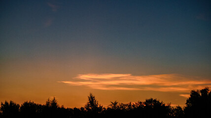 Fototapeta na wymiar Treetops and sunset sky