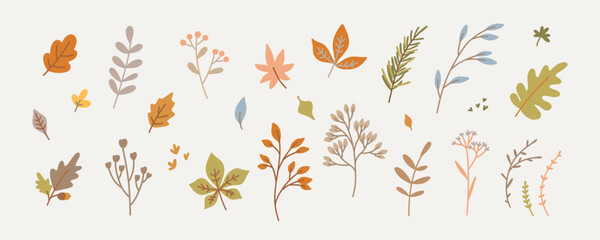 Set of fall twigs with leaves, foliage, berries. Cute and cozy autumn drawn design elements. Vector illustration