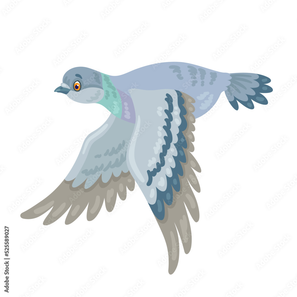 Wall mural Gray dove is flying. In cartoon style. Isolated on white background. Vector flat illustration.