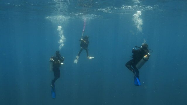 Medium underwater shot showing three divers making safety stop.