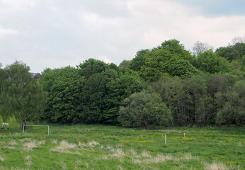 abandoned soccer pitch with goalposts on a field overgrown with long grass and wildflowers surrounded by trees left as part of a flood defense area in Brearley in Mytholmroyd west yorkshire
