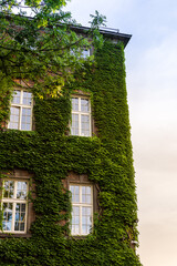 Wawel Castle is a castle residency located in central Krakow