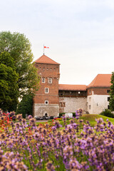 Fototapeta na wymiar Wawel Castle is a castle residency located in central Krakow