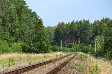 Obraz premium Railway turns around the corner of a forest on dry yellow grass on summer day