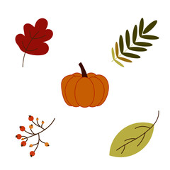 Autumn set. Autumn plants, pumpkin and leaves.