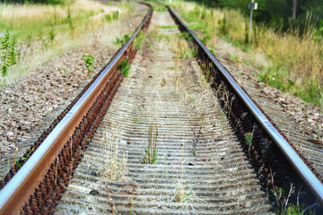 Railway running forward on green grass on summer day