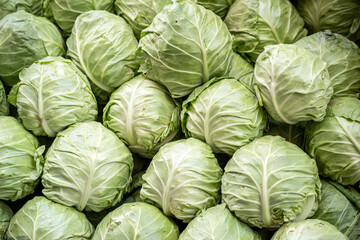 Many cabbage,Fresh Cabbage in the market