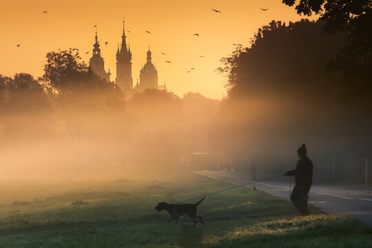 Fototapeta A foggy, sunny, autumn morning on the meadows in Krakow. Mglisty, słoneczny, jesienny poranek na błoniach w Krakowie. Polska, Poland
