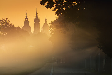 A foggy, sunny, autumn morning on the meadows in Krakow. Mglisty, słoneczny, jesienny poranek na...