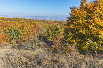 Autumn landscape of Cherna Gora mountain, Bulgaria