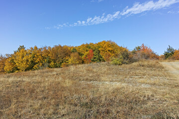 Fototapeta premium Autumn landscape of Cherna Gora mountain, Bulgaria