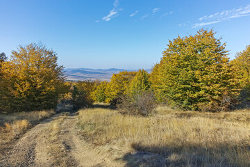 Obraz premium Autumn landscape of Cherna Gora mountain, Bulgaria
