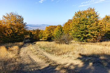 Fototapeta premium Autumn landscape of Cherna Gora mountain, Bulgaria