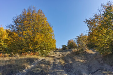 Obraz premium Autumn landscape of Cherna Gora mountain, Bulgaria