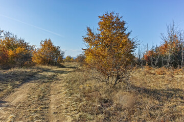 Autumn landscape of Cherna Gora mountain, Bulgaria