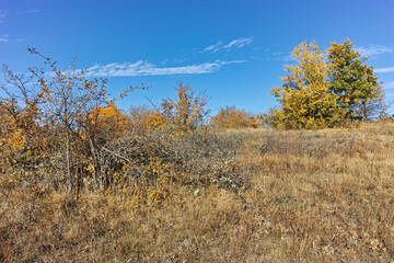 Fototapeta premium Autumn landscape of Cherna Gora mountain, Bulgaria