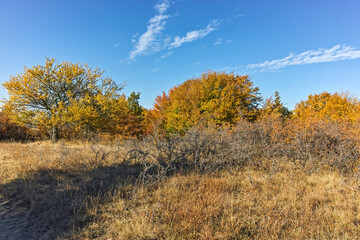 Autumn landscape of Cherna Gora mountain, Bulgaria