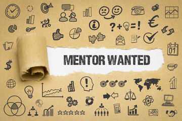 Mentor Wanted