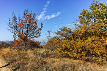 Autumn landscape of Cherna Gora mountain, Bulgaria