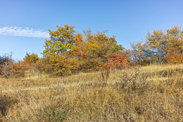 Fototapeta premium Autumn landscape of Cherna Gora mountain, Bulgaria