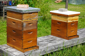 Two wooden beehives placed near a garden