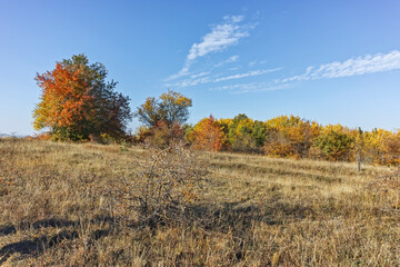 Autumn landscape of Cherna Gora mountain, Bulgaria