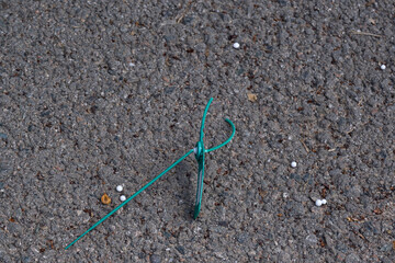 Open safety lock from the container. The torn seal lies on the asphalt.