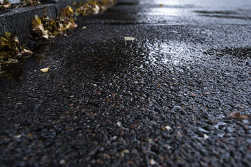 Wet asphalt of footpath in city park. Slippery road after rain.