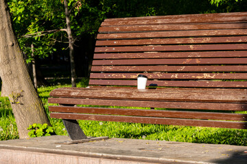Naklejka premium White paper cup of coffee on a park bench.