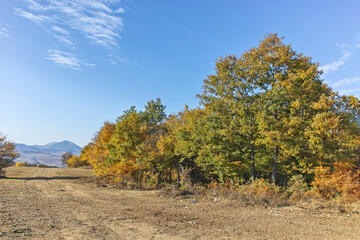 Autumn landscape of Cherna Gora mountain, Bulgaria