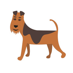airedale terrier cartoon dog isolated on white