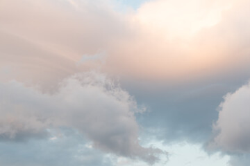 Thick cumulus clouds with pink tint at sunset. Background natural color of evening cloudscape panorama. - 525601020