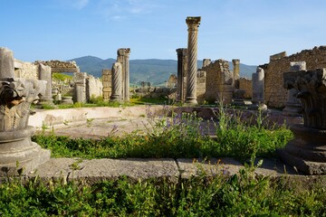 View of ruins of Volubilis is a partly excavated Berber-Roman city in Morocco - obrazy, fototapety, plakaty