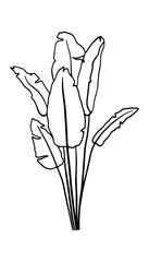 Leaves banana tropical palm One Line Drawing. Continuous Line of Simple Flower Illustration. Abstract Contemporary Botanical Design Template for Minimalist Covers. Vector EPS 10.