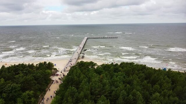 Aerial view of a beautiful forest near the Baltic Sea in Palanga, Lithuania