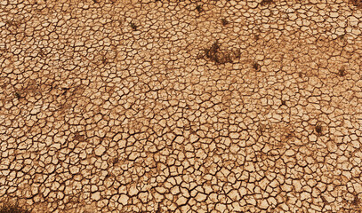 Cracked soil while dry spell. Environment and ecology - the problem of drought.