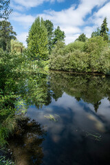 Fototapeta na wymiar Reflecting river and surrounding summer foliage