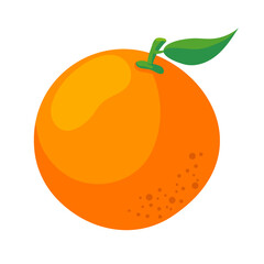 Orange fruit. Vector illustration of an orange. Isolated orange. Isolated image.