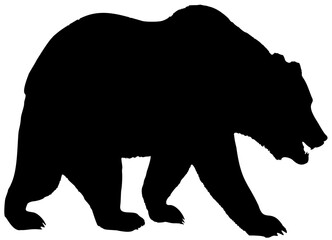 Obraz na płótnie Canvas Wild Life-Bear Silhouette