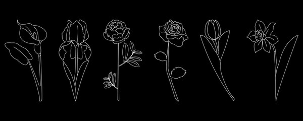 Calla, rose, tulip, narcissus, peony and iris flowers on black  background