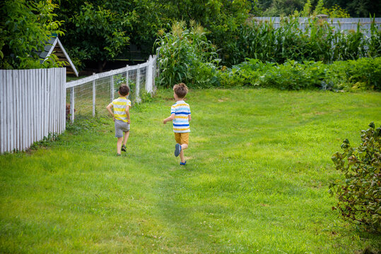 Two boys running in the summer at the domestic garden in the vil