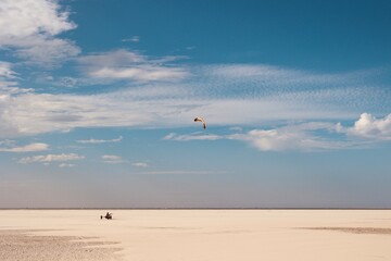 Kite Buggy on the beach of Texel Island, The Netherlands. 