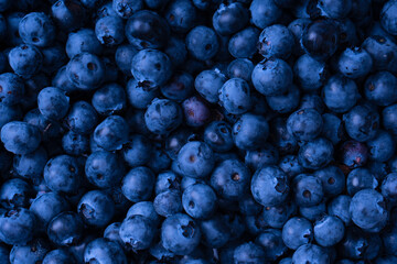 Fresh blueberry background. Texture blueberry berries close up.