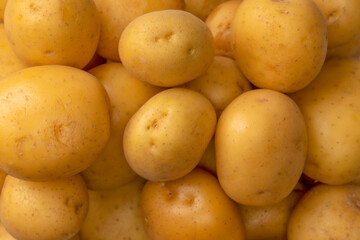 A group of fresh tasty potato as  background.
