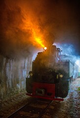 Vertical shot of a steam train on narrow railway in a tunnel in Viseu de Sus, Romania - obrazy, fototapety, plakaty